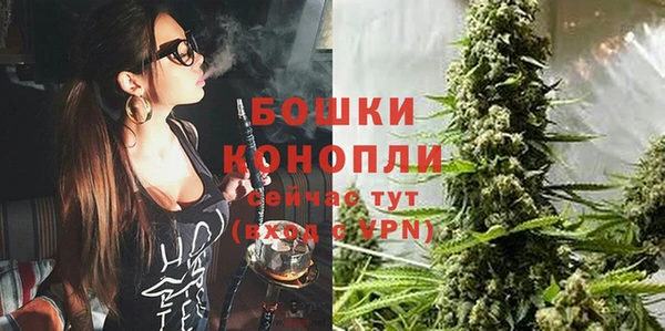 амф Аркадак
