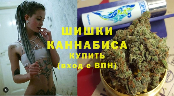 амф Аркадак