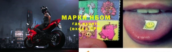 амф Аркадак