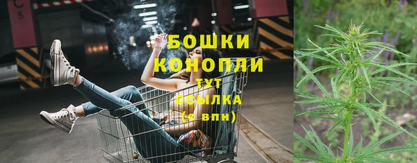 амф Аркадак