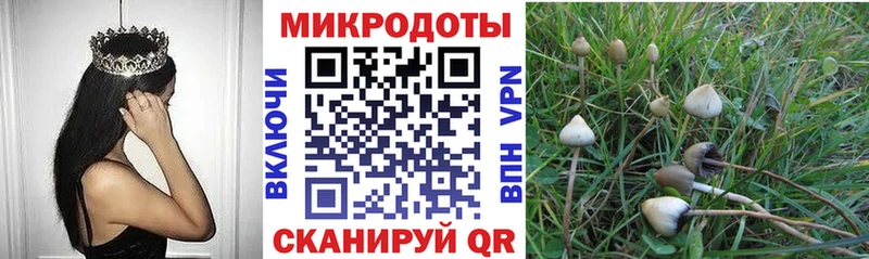 блэк спрут как зайти  даркнет сайт  Лянтор  Псилоцибиновые грибы прущие грибы 